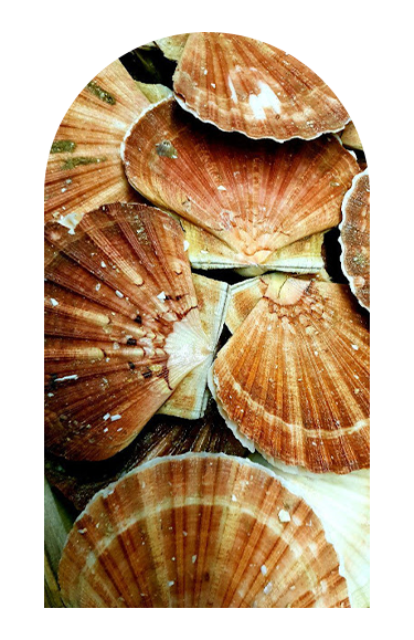 Les Walkyries - Restaurant Voreppe - top restaurant VOREPPE